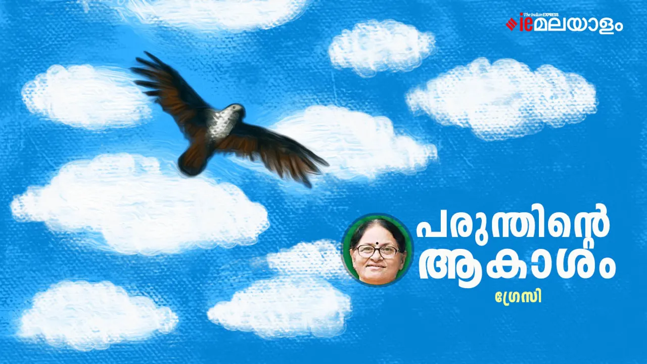 Gracy  | Story | iemalayalam 