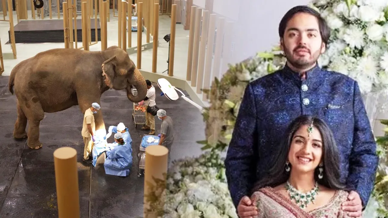 Anant Ambani  