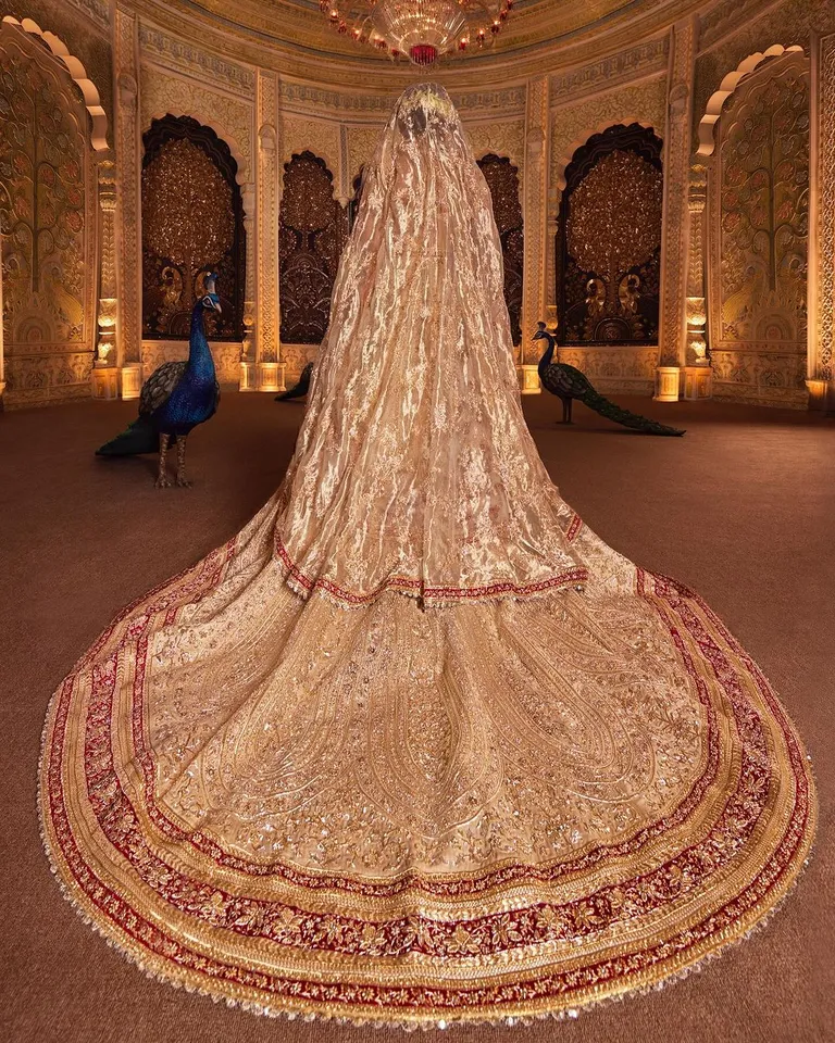 Radhika Merchant Wedding Outfit