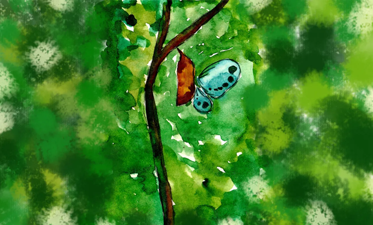 ഓഫ് നോട്ട്