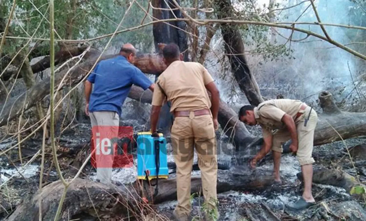 ബന്ദിപ്പൂര്‍ വനം അമ്പത് ശതമാനത്തിലേറെ കത്തി; വയനാടൻ കാടുകളിൽ ആനക്കൂട്ടം
