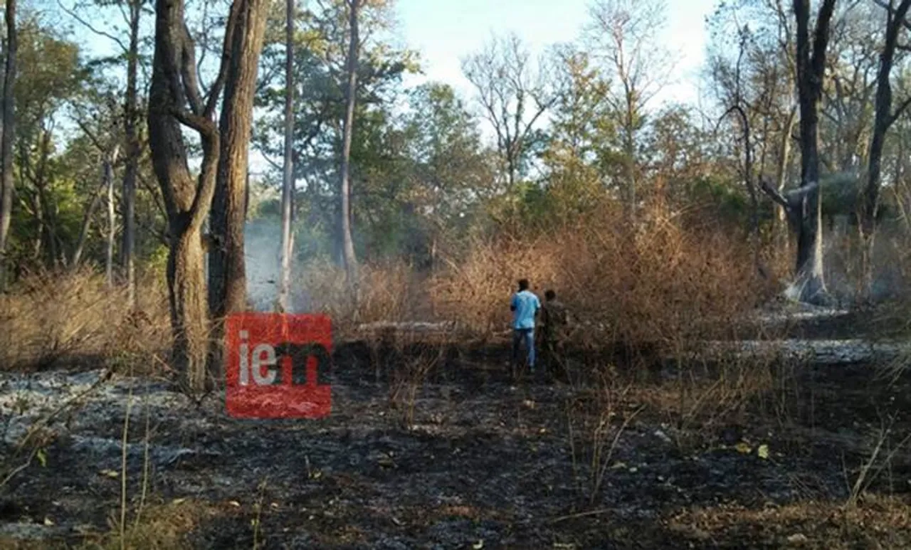 കാട്ടുതീ ഭീഷണി: വയനാട്ടിലെ വന്യജീവി സങ്കേതത്തിലേയ്ക്കുളള പ്രവേശനം നിരോധിച്ചു