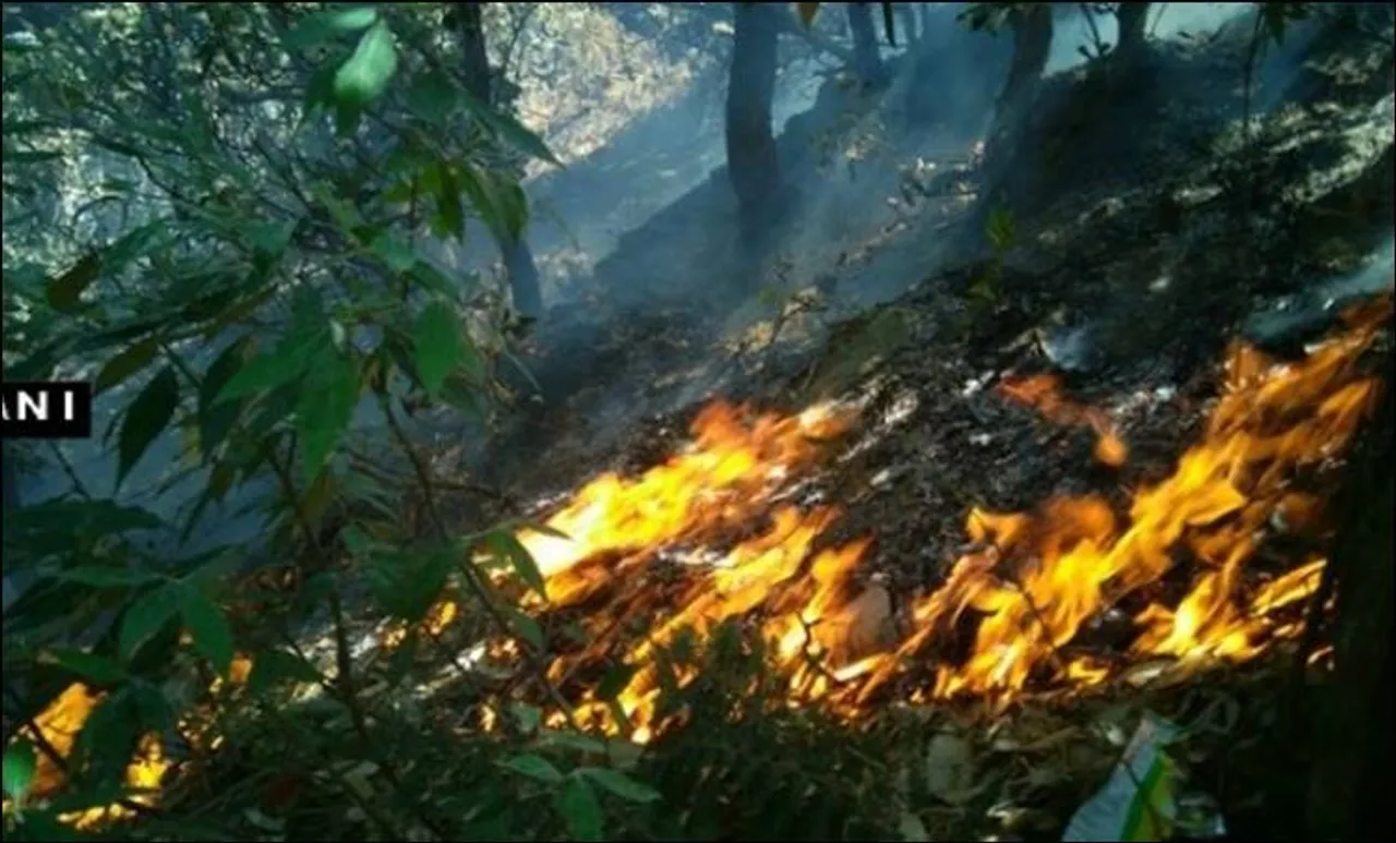 കാട്ടുതീ തടയാൻ സർക്കാർ നടപടി എടുക്കുമെന്ന് മുഖ്യമന്ത്രി