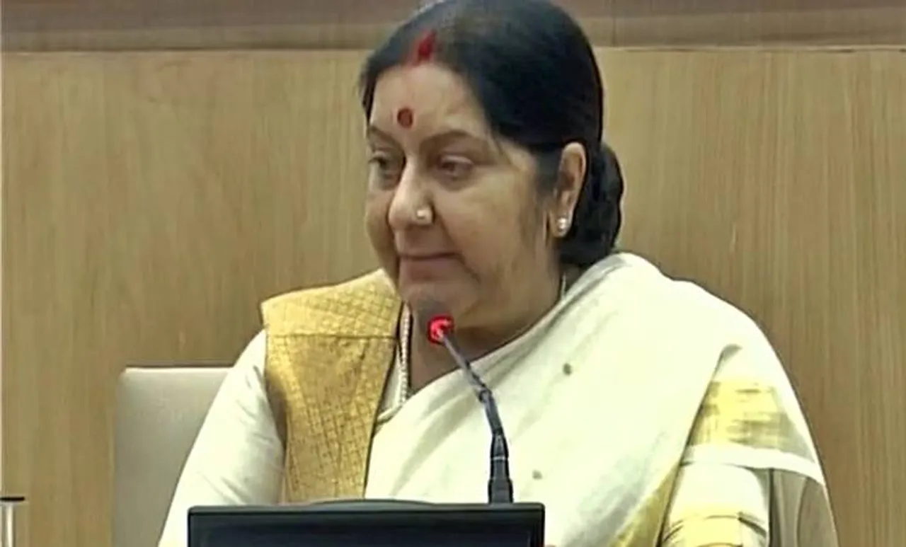 Sushma Swaraj, Paris climate deal