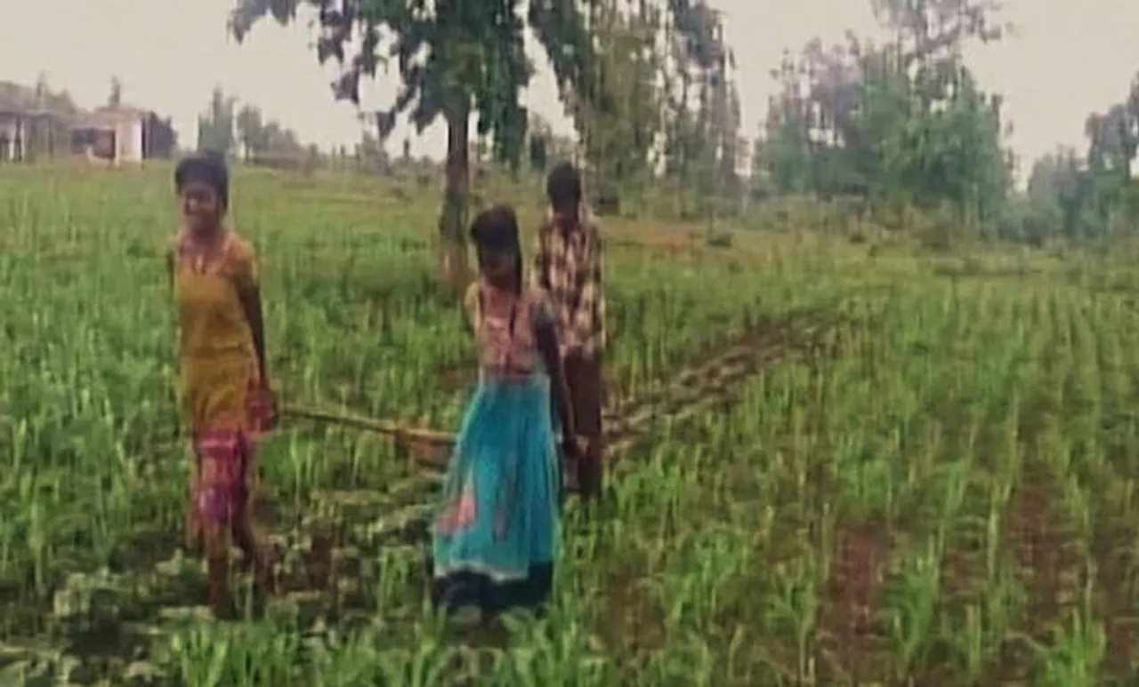 madhyapradesh, farmers