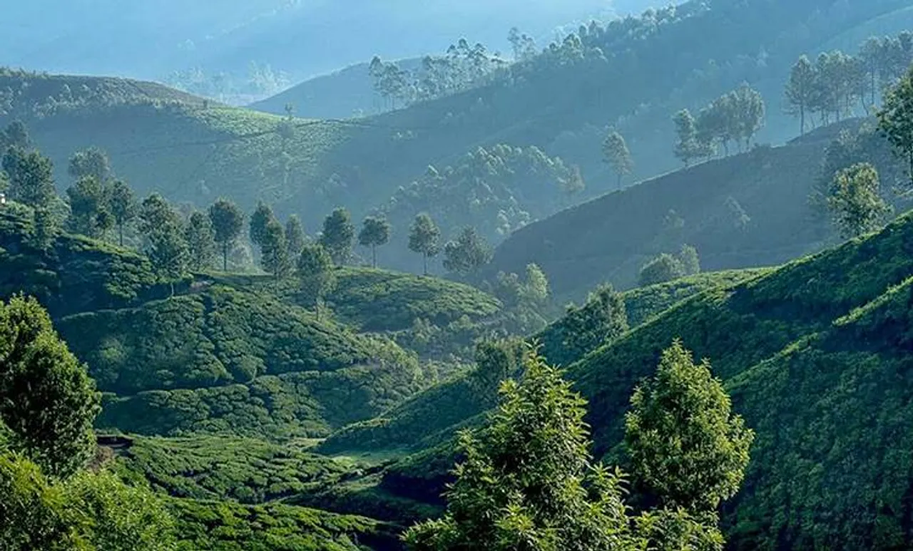 munnar, land , tourism,