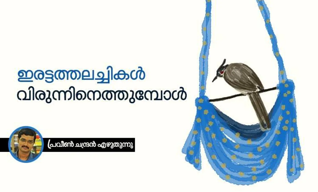 praveend chandran, bull bull, cat,