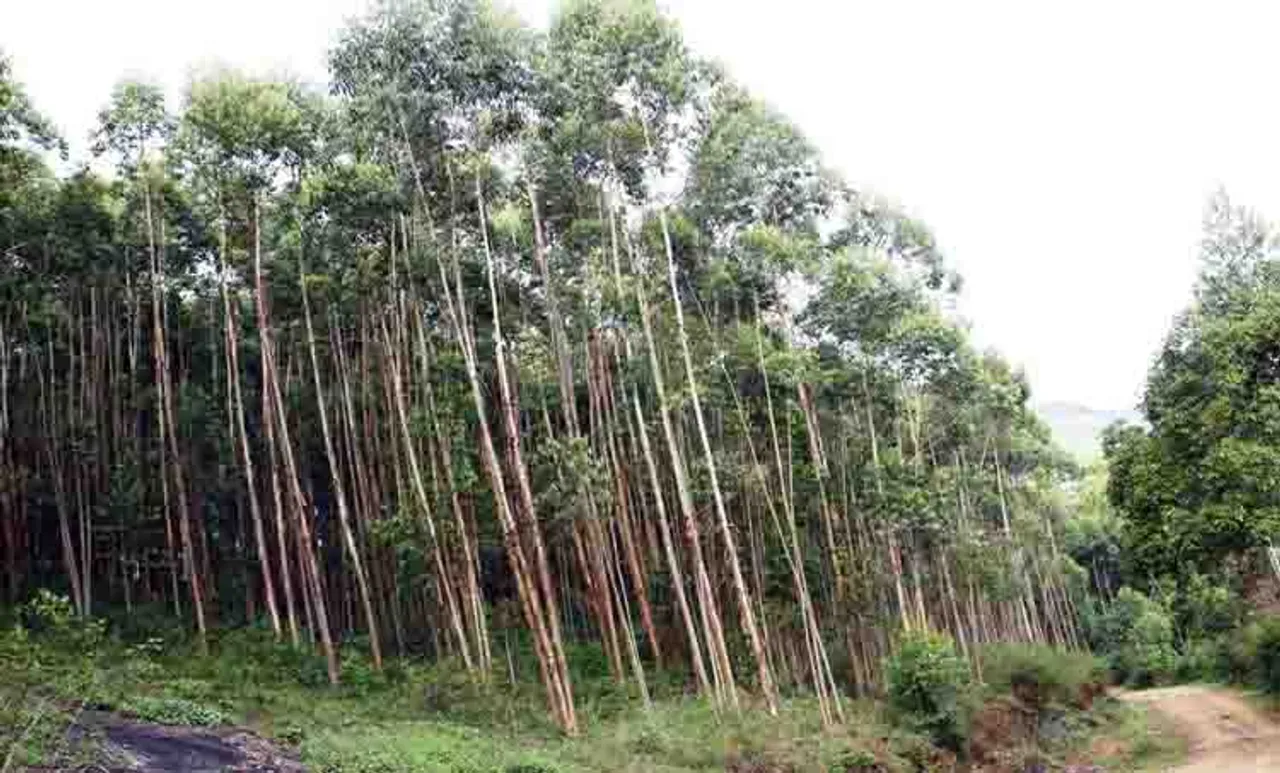 kottakkamboor, anjnadu, landissue, idukki,