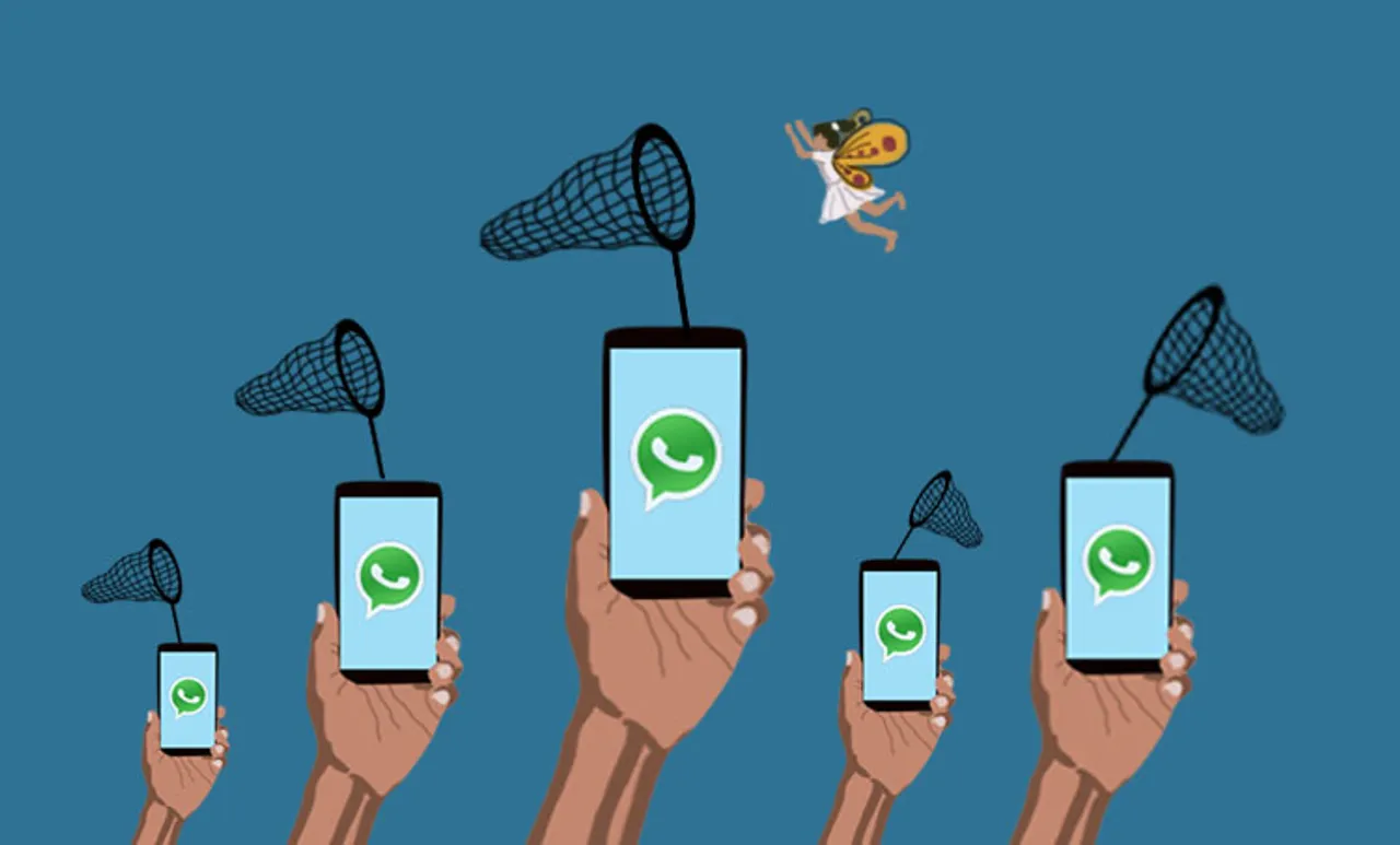 child porn, pedophilia