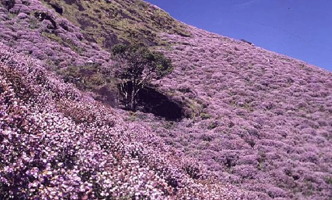 Munnar