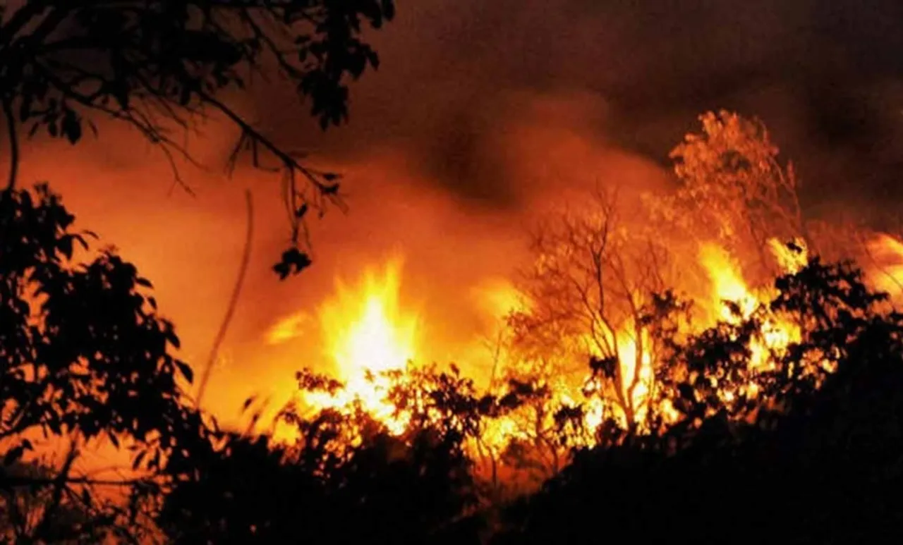 ഇടുക്കി ഊ​ർ​ക്കാ​ടി​ന് സ​മീ​പം വീ​ണ്ടും കാ​ട്ടു​തീ പടര്‍ന്നു