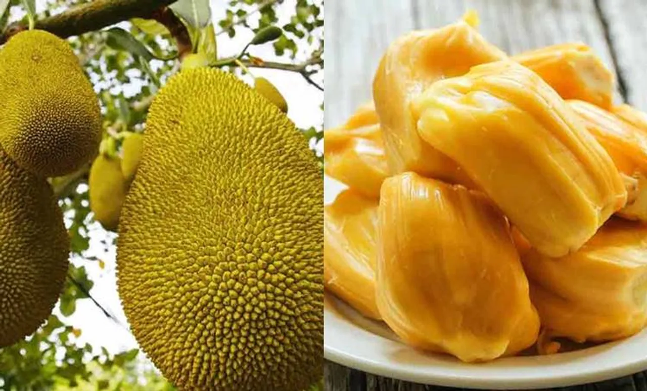 പഴങ്ങളില്‍നിന്ന് വീര്യം കുറഞ്ഞ മദ്യമുണ്ടാക്കാന്‍ തീരുമാനം