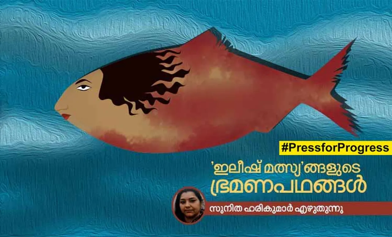 'ഇലീഷ് മത്സ്യ'ങ്ങളുടെ ഭ്രമണപഥങ്ങൾ