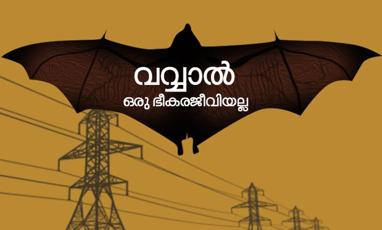 Nipah Virus, Nipah symptoms, Nipah Virus symptoms, Nipah Virus bats, Nipah Virus transmission, Nipah Virus origin, Nipah Virus treatment