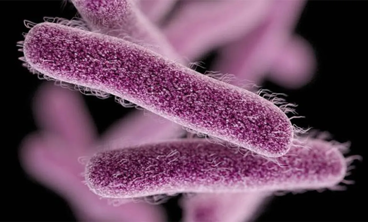 കോഴിക്കോട് ഷിഗെല്ല വൈറസ് ബാധിച്ച് ഇരട്ടക്കുട്ടികളില്‍ ഒരാള്‍ മരിച്ചു; ജാഗ്രതാ നിര്‍ദേശം