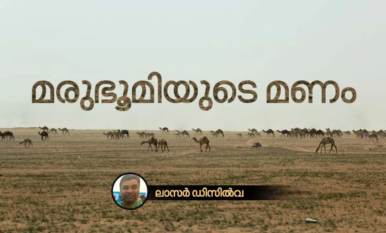 മരുഭൂമിയുടെ മണം