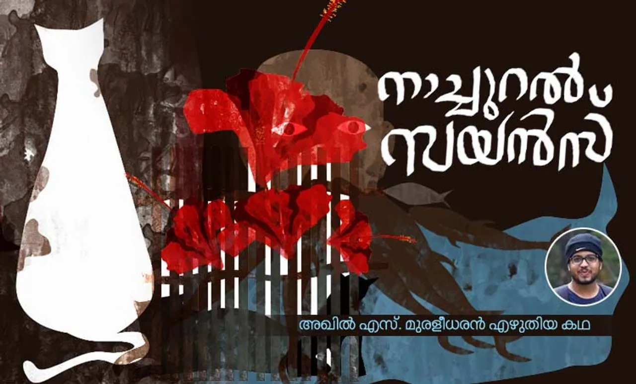 akhil s muraleedharan, story