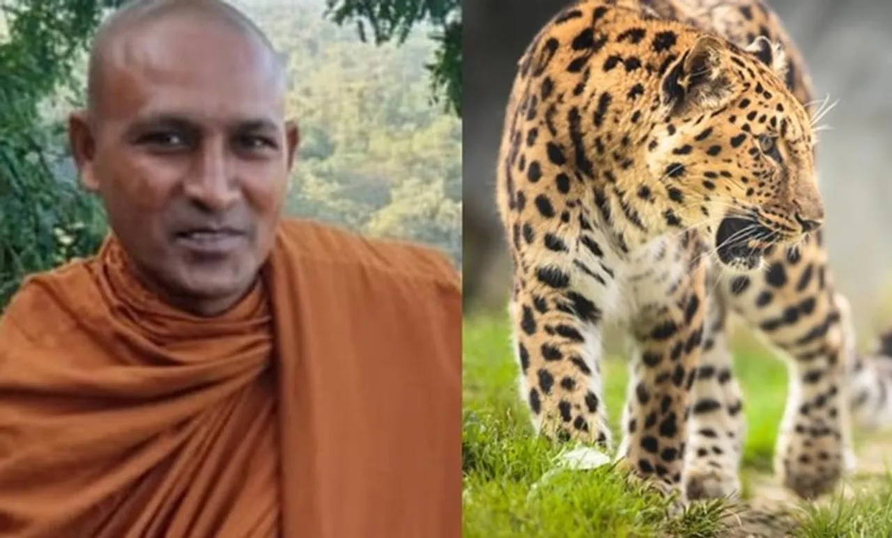 കൊടും വനത്തില്‍ ധ്യാനത്തിലിരുന്ന ബുദ്ധ സന്ന്യാസിയെ പുലി കടിച്ചുകൊന്നു