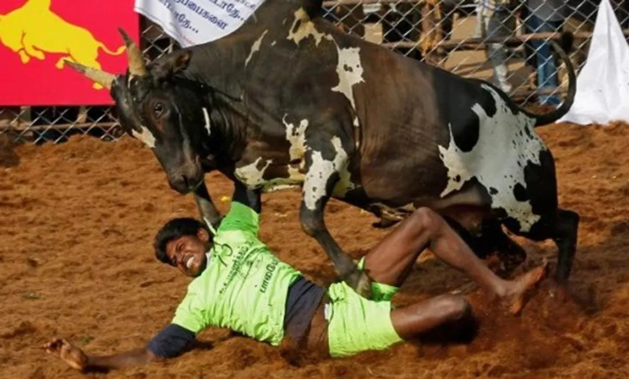 തമിഴ്നാട്ടില്‍ ജെല്ലിക്കെട്ടിനിടെ രണ്ട് പേരെ കാള കുത്തിക്കൊന്നു; 30 പേര്‍ക്ക് പരുക്ക്