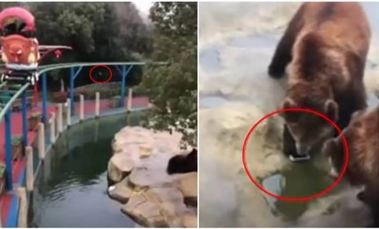 ആപ്പിളിനു പകരം യുവാവ് കരടിക്കൂട്ടിലേക്ക് വലിച്ചെറിഞ്ഞത് ഐഫോൺ