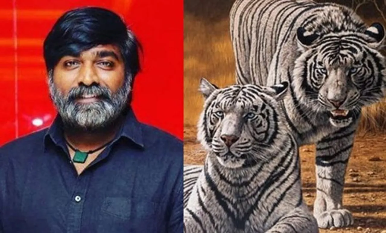 Vijay Sethupathi, Tamil, Tiger, വിജയ് സേതുപതി, കടുവ, white tiger, പുതിയ ചിത്രം, സിനിമ, Entertainment, സിനിമാ വാര്‍ത്ത, ഫിലിം ന്യൂസ്, Film News, കേരള ന്യൂസ്, കേരള വാര്‍ത്ത, Kerala News, മലയാളം ന്യൂസ്, മലയാളം വാര്‍ത്ത, Malayalam News, Breaking News, പ്രധാന വാര്‍ത്തകള്‍, ഐ ഇ മലയാളം, iemalayalam, indian express malayalam, ഇന്ത്യന്‍ എക്സ്പ്രസ്സ്‌ മലയാളം