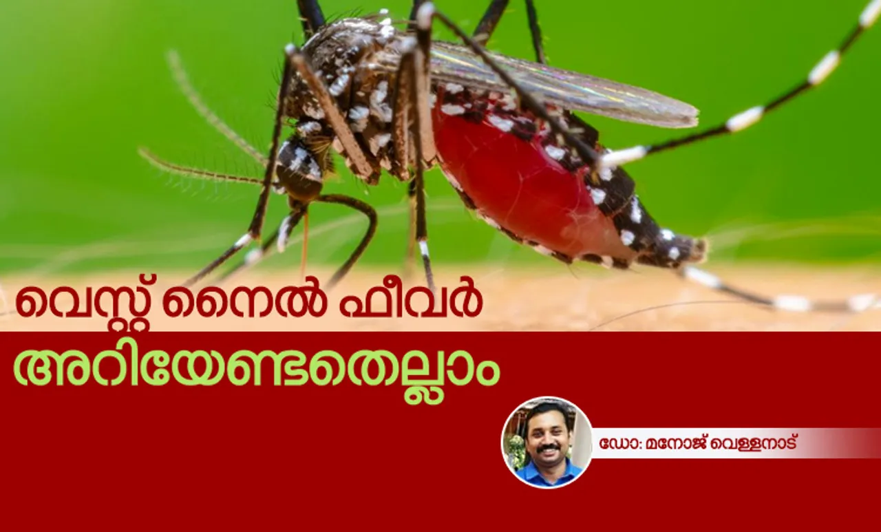 West Nile Virus, West Nile Fever, dr.manoj vellanadu