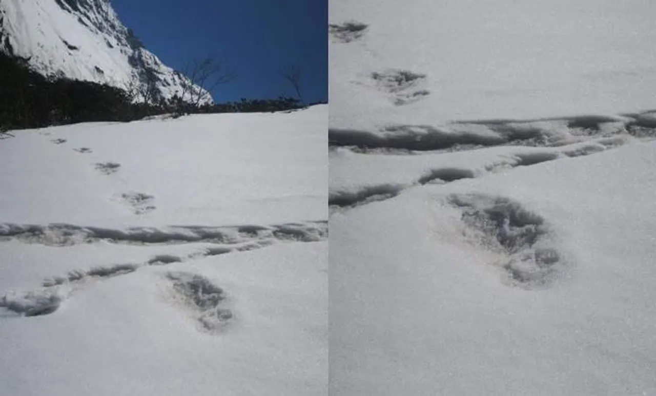 yeti, യതി, yeti indian army, യതി ഇന്ത്യൻ ആർമി, yeti photo, യതി ചിത്രം, photo of yeti, യതിയുടെ ചിത്രങ്ങൾ, yeti footprints, യതിയുടെ കാൽപ്പാടുകൾ, yeti sighting, what is yeti, indian army yeti sightings, tarun vijay, what is yeti, indian express, iemalayalam, ഐഇ മലയാളം