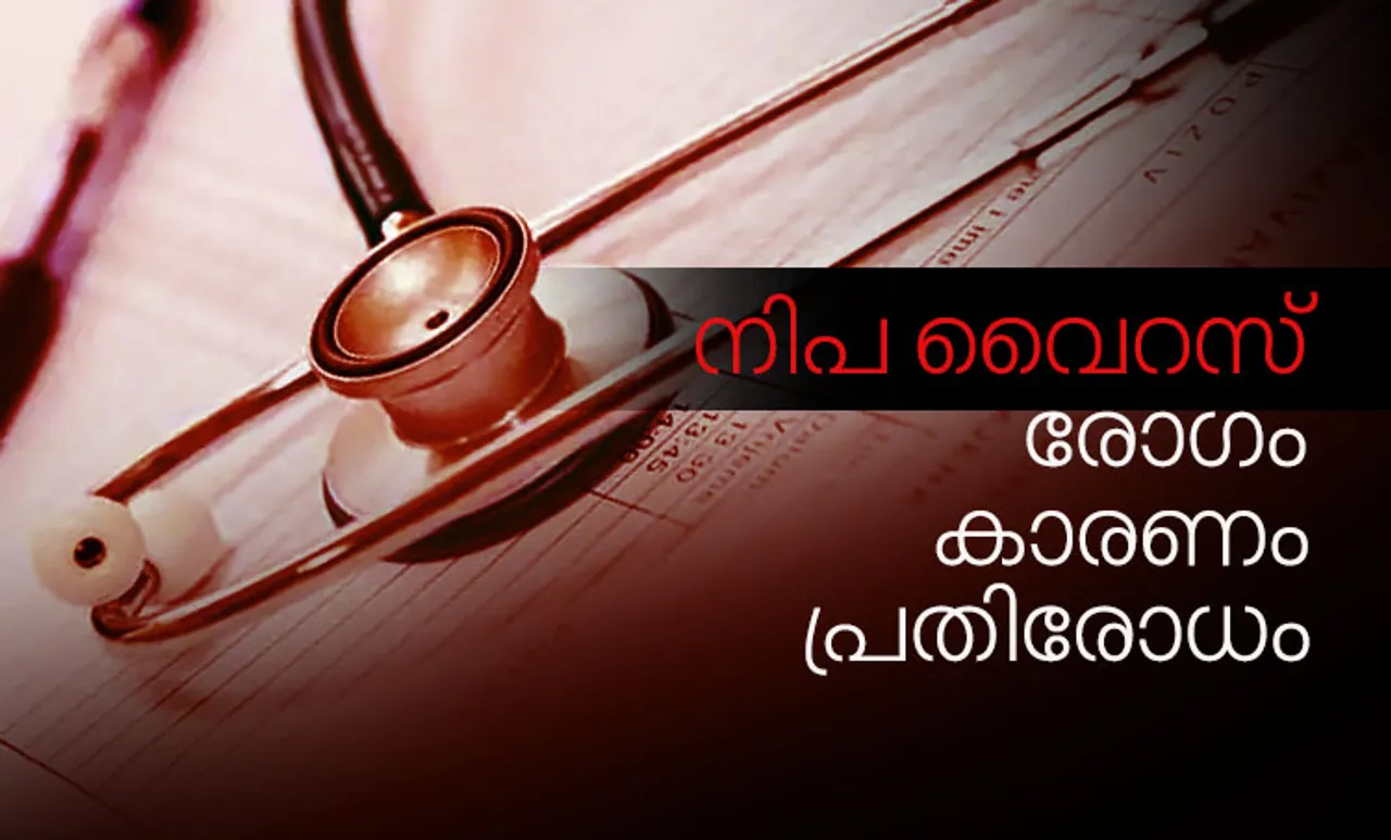 നിപ്പ വൈറസ്, nipah virus, nipah virus kerala, nipah virus symptoms, nipah virus transmission, nipah virus treatment, nipah virus in india, നിപ്പാ വൈറസ്, നിപ്പ വൈറസ്, പനി, എന്താണ് നിപ്പാ വൈറസ്, നിപ്പാ വൈറസ് ചരിത്രം, നിപ്പാ വൈറസ് ലക്ഷണം, കോഴിക്കോട് നിപ്പ വൈറസ്, നിപ്പ വൈറസ് എന്താണ്, നിപ്പ വൈറസ് കോഴിക്കോട്, കോഴിക്കോട് പനി മരണം,what is nipah virus, nipah virus kerala, nipah virus prevention, nipah virus medicine, nipah virus, nipah virus in kerala, nipah virus symptoms, nipah virus malayalam, what is nipah virus, nipah virus malayalam news, nipah virus fever, kozhikode, nipah virus kozhikode, perambra, malayalam news, iemalayalam