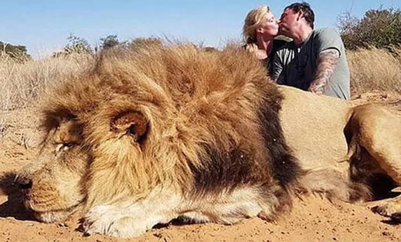 Animal Abuse, മൃഗങ്ങള്‍, Social Media, സോഷ്യല്‍മീഡിയ, lion, സിംഹ്, hunting, വേട്ട, protest പ്രതിഷേധം