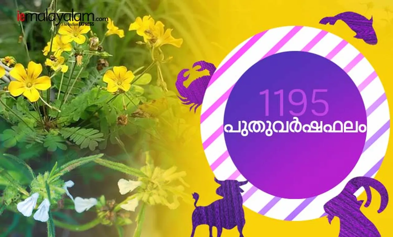 പുതുവർഷഫലം, ചിങ്ങം 1, horoscope, 1195 Yearly Prediction, 1195 New Year Prediction, malayalam new year 2019, malayalam new year 1195 predictions, malayalam new year astrology, malayalam new year chingam 1 predictions, malayalam new year predictions, kerala new year 2019, kerala new year chingam 1, kerala new year 2019