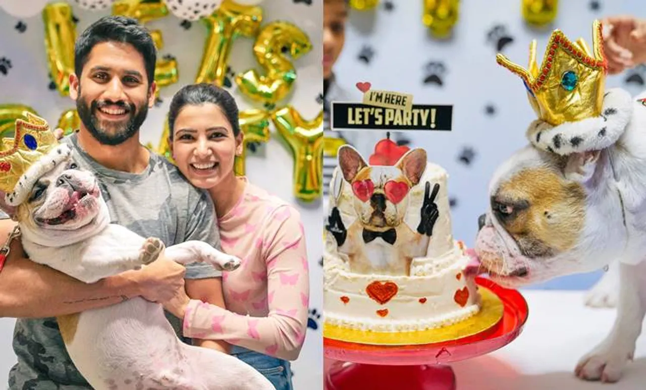 Samantha Akkineni, സാമന്ത അക്കിനേനി, Samantha pet Bugaboo, സാമന്തയുടെ വളർത്തു നായ, Samantha pet hash, Samantha instagram post, ie malayalam, ഐഇ മലയാളം