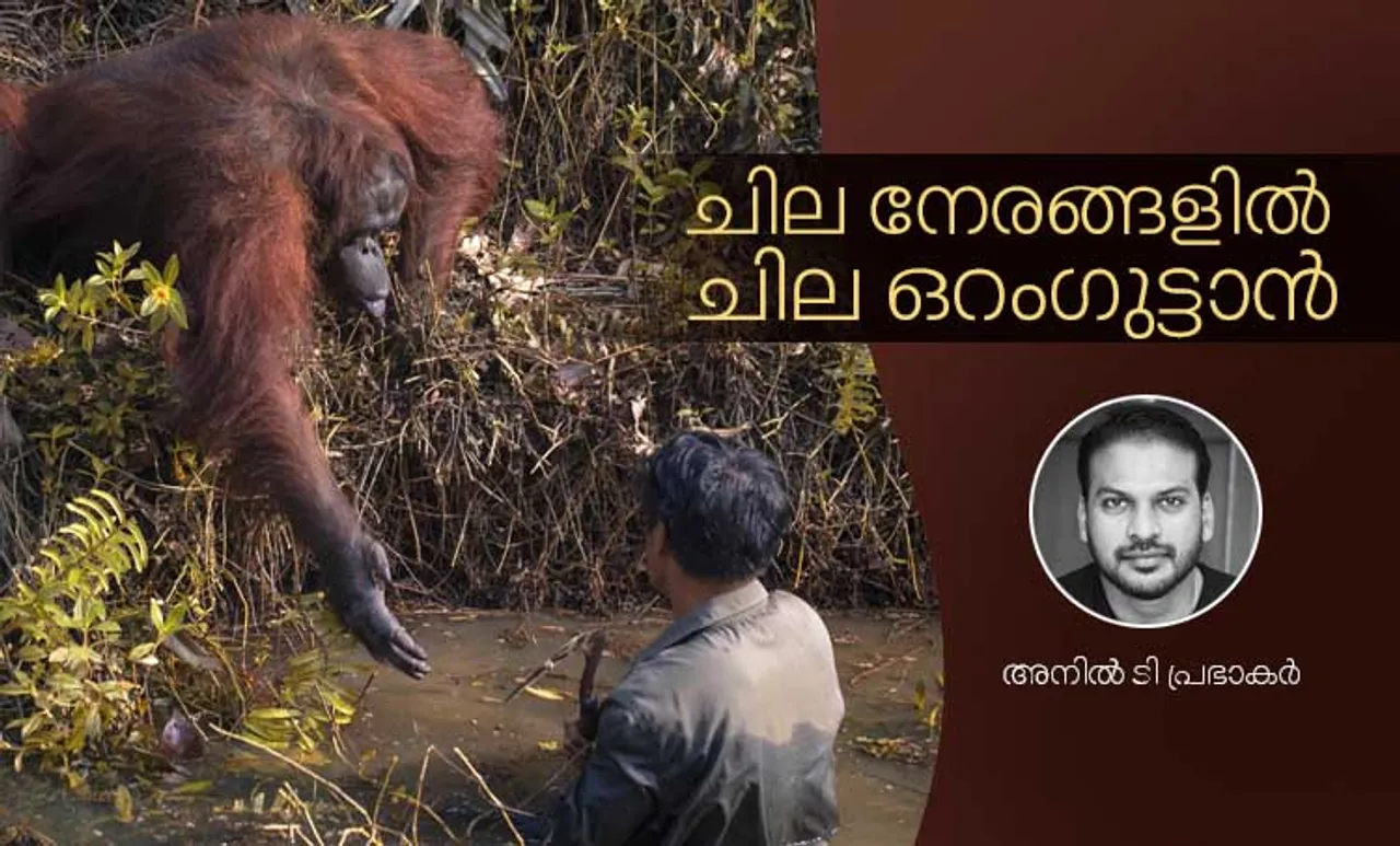 oranghutan, anil t prabhakar , iemalayalam