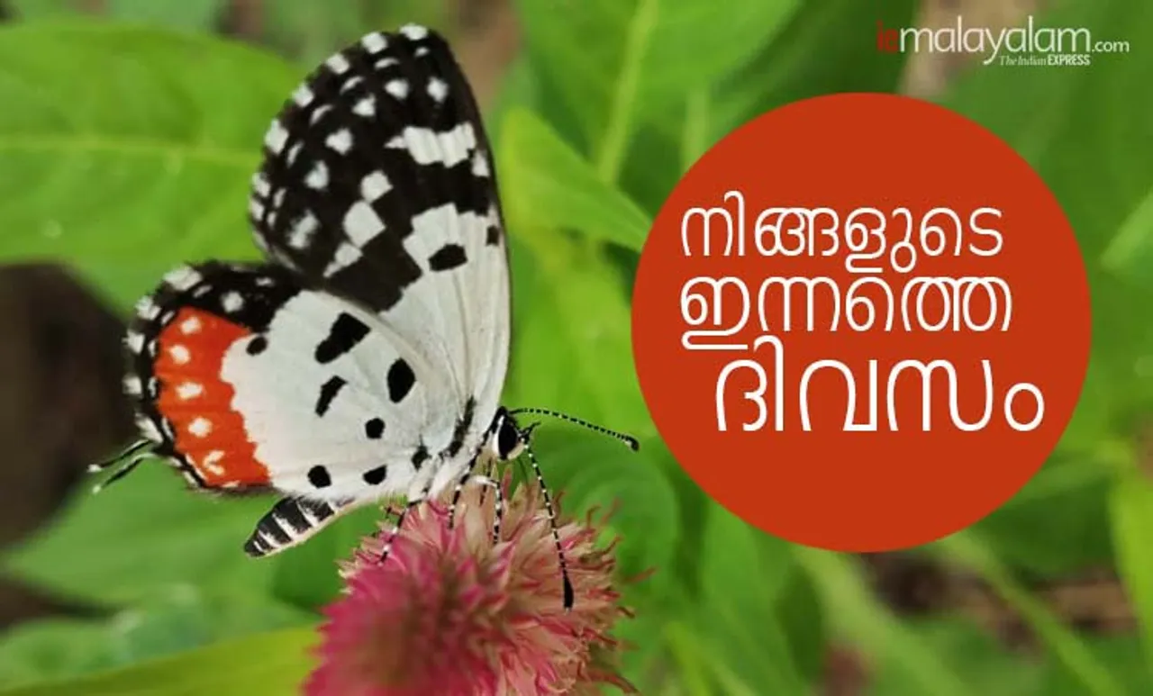 Horoscope Today, വാരഫലം, ദിവസഫലം മലയാളം, രാശിഫലം, astrology, നിങ്ങളുടെ ദിവസ ഫലം ഇന്ന്, horoscope, ജ്യോതിഷം, astrology, ജാതകം, horoscope today in Malayalam, ജാതകം മലയാളത്തിൽ, horoscope in Malayalam, ദിവസഫലം ഇന്ന്, today horoscope virgo, ഇന്നത്തെ നക്ഷത്രഫലം,daily horoscope, നിങ്ങൾക്ക് ഈ ദിവസം എങ്ങനെ?,horoscope today, astrology, ജ്യോതിഷം മലയാളത്തിൽ, രാശിഫലം മലയാളത്തിൽ,daily horoscope virgo, astrology, astrology today, horoscope today scorpio, horoscope taurus, horoscope gemini,ദിവസങ്ങളും പ്രത്യേകതകളും, horoscope leo, horoscope cancer, horoscope libra, horoscope aquarius, leo horoscope, leo horoscope today, peter vidal, പീറ്റർ വിഡൽ, പീറ്റർ വിടൽ, ie malayalam, ഐഇമലയാളം, നിങ്ങളുടെ ഇന്ന്, weekly horoscope, horoscope of the week, ആഴ്ചഫലം, ഈ ആഴ്ച നിങ്ങള്‍ക്കെങ്ങനെ?