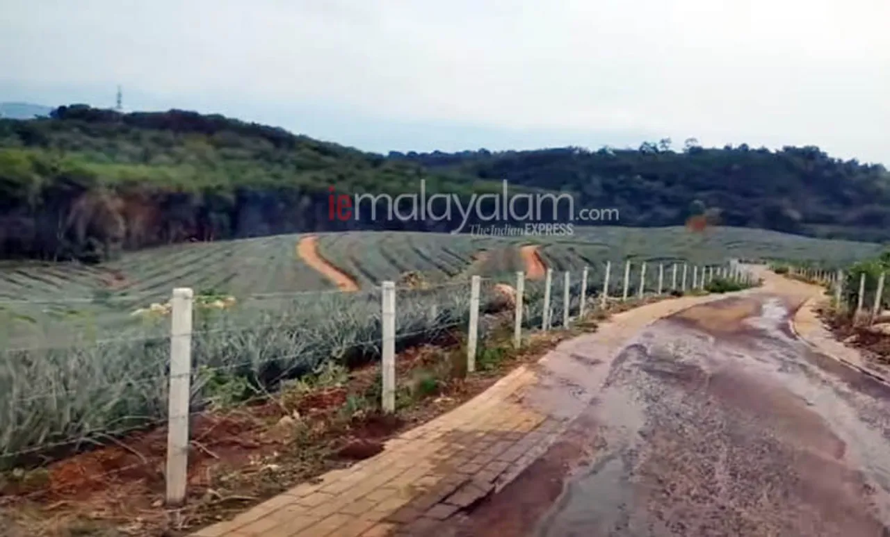 ശബരിമല വിമാനത്താവളം: ചെറുവള്ളി എസ്റ്റേറ്റ് ഏറ്റെടുക്കാൻ സർക്കാരിന് കോടതി അനുമതി
