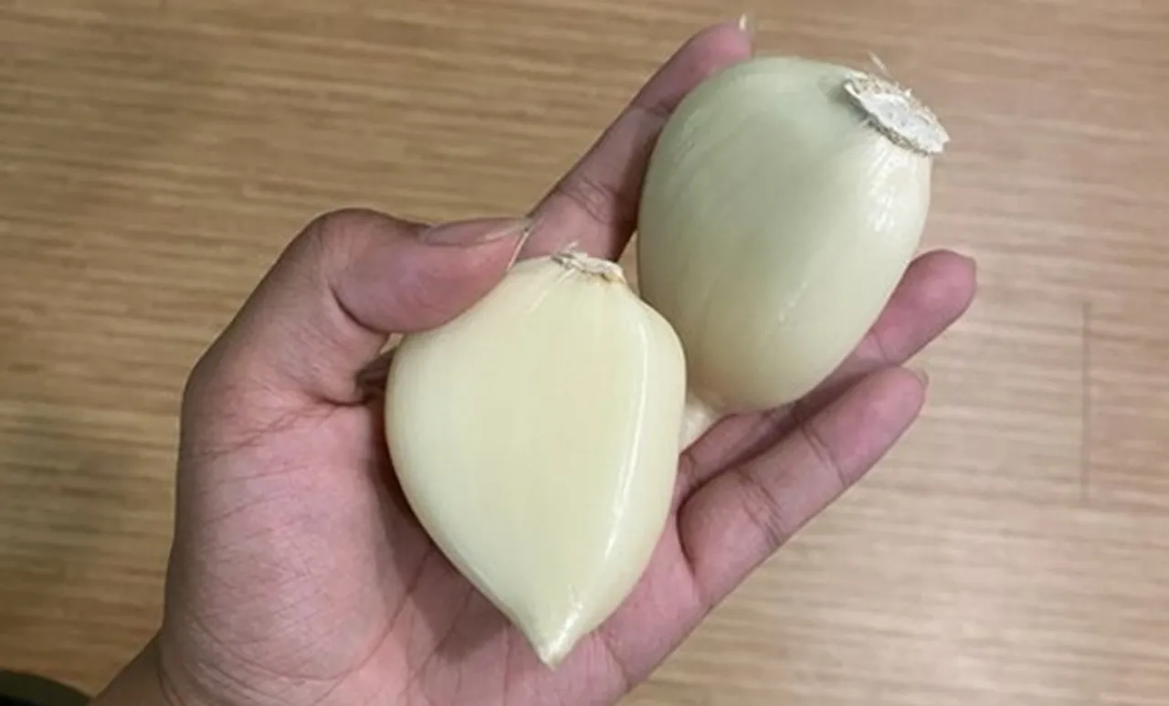 Garlic Elephant Garlic