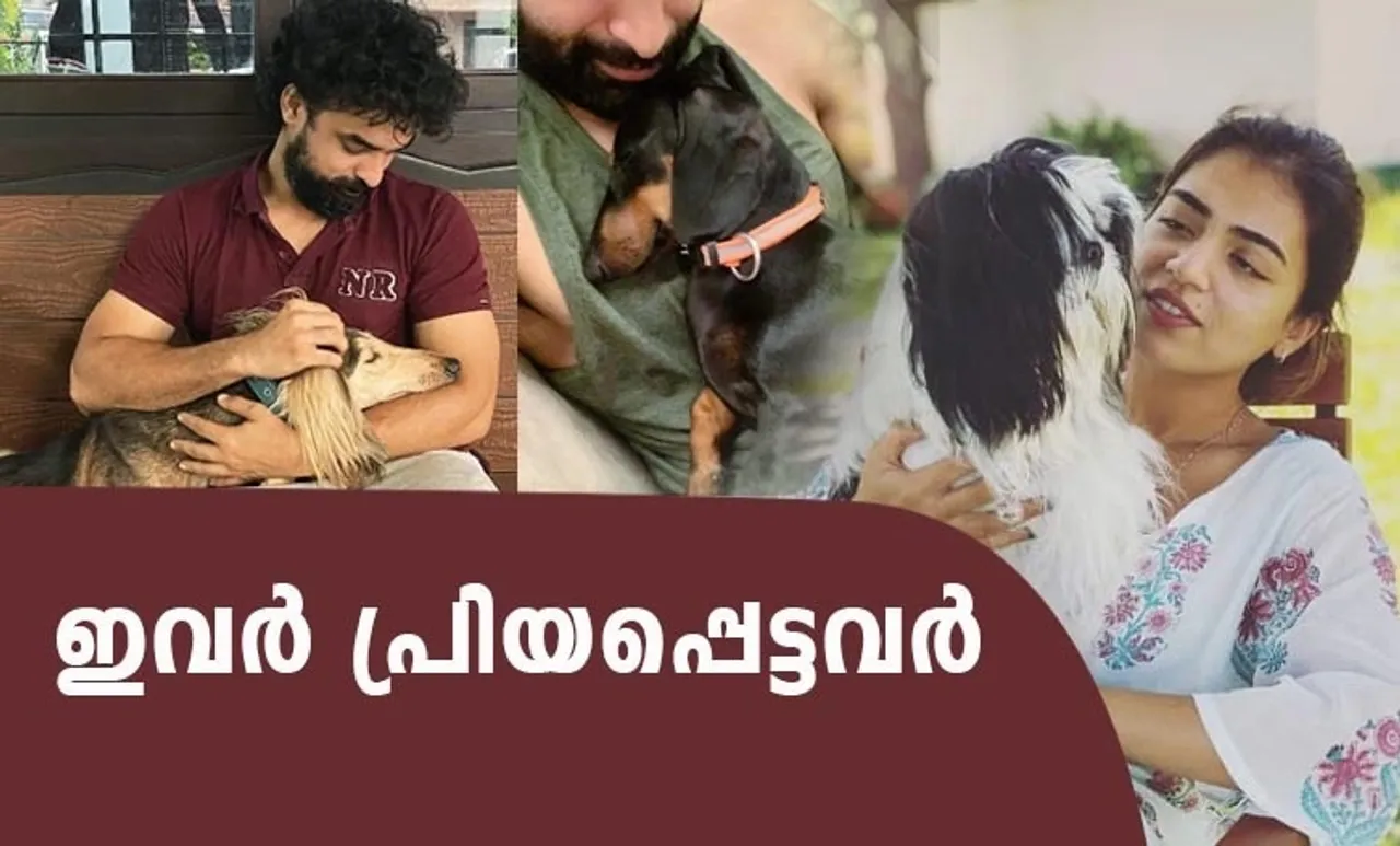 Prithviraj, Nazriya, Tovino thomas, Prithviraj pet dog, Nazriya pet dog, Tovino thomas pet dog