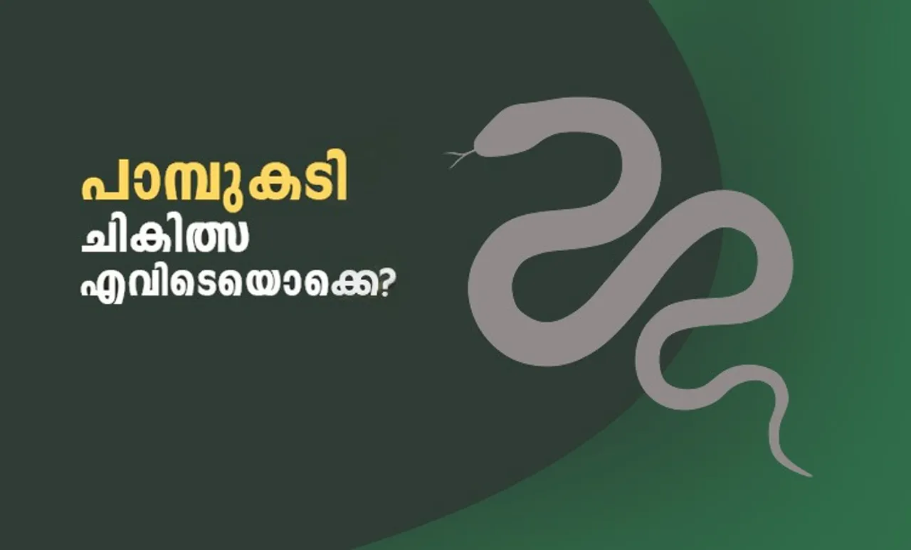 Snakebite, പാമ്പു കടിയേറ്റാൽ ചെയ്യേണ്ടത്, Treatment for Snakebite, പാമ്പു കടിയേറ്റാൽ ഉടനടി ചെയ്യേണ്ടതെന്ത്?, First aid for snakebites, anti snake venom, ആന്റി സ്നേക് വെനം, anti snake venom hospital list kerala, ആന്റി സ്നേക് വെനം ലഭ്യമാവുന്ന കേരളത്തിലെ ആശുപത്രികൾ, health news, ആരോഗ്യവാർത്തകൾ, indian express malayalam, ഇന്ത്യൻ എക്‌സ്‌പ്രസ് മലയാളം, ie malayalam, ഐഇ മലയാളം