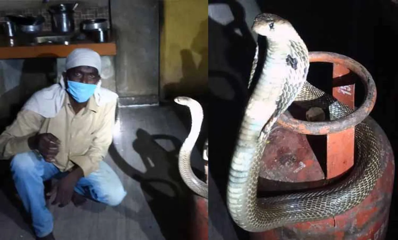 vava suresh, vava suresh number, vava suresh latest news, vava suresh house, vava suresh whatsapp number, vava suresh in hospital, vava suresh video, vava suresh age, vava suresh mobile, vava suresh latest, vava suresh net worth, vava suresh fingers, vava suresh snake