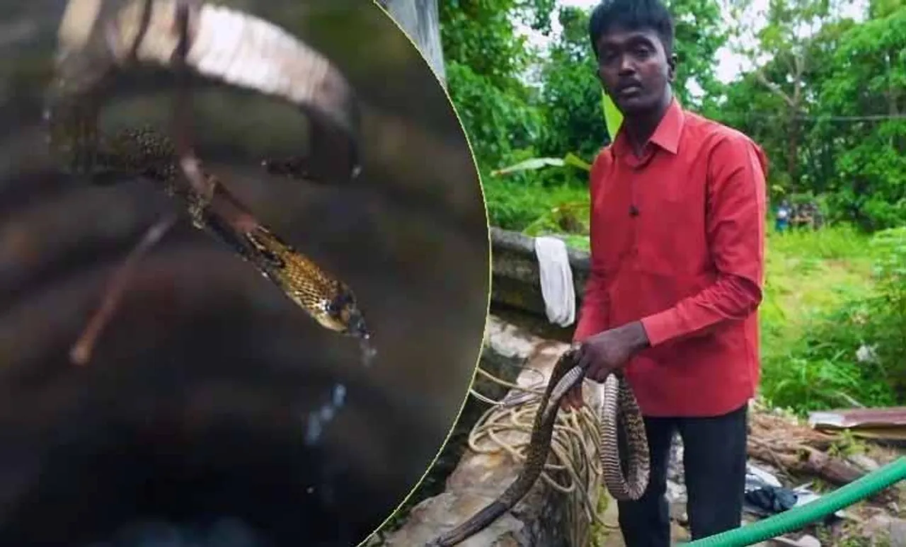 vava suresh, vava suresh number, vava suresh latest news, vava suresh house, vava suresh whatsapp number, vava suresh in hospital, vava suresh video, vava suresh age, vava suresh mobile, vava suresh latest, vava suresh net worth, vava suresh fingers, vava suresh snake