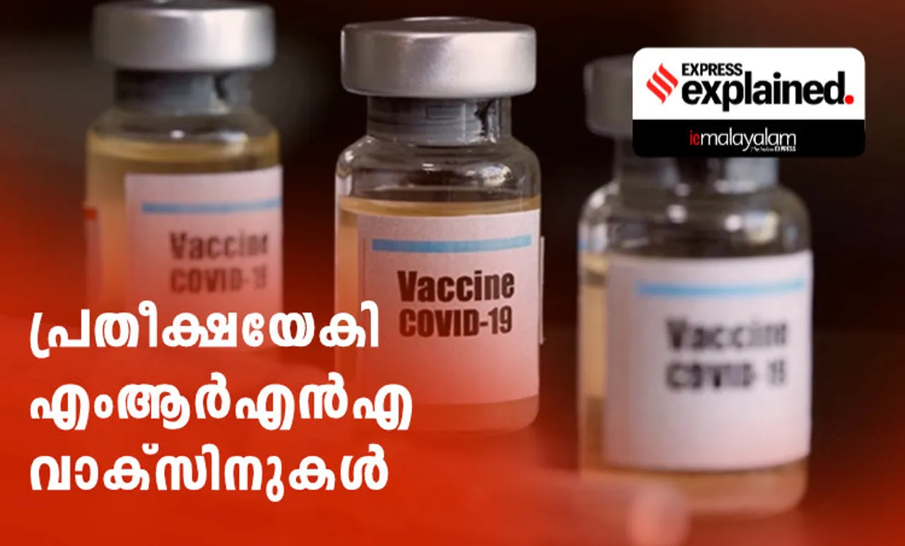 RNA vaccine, mRNA vaccine, What is Moderna vaccine, What is Pfizer vaccine, What is RNA vaccine, RNA vaccine explained, ie malayalam