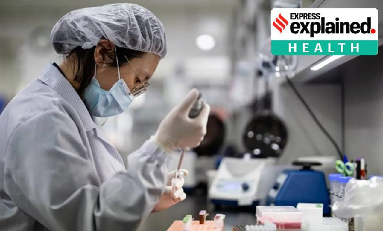 Coronavirus, Coronavirus research, Coronavirus cell research, Express Explained, ie malayalam