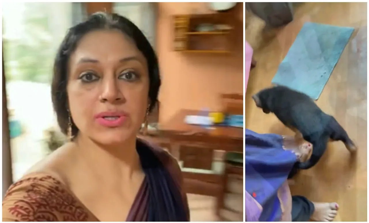 Shobana, Shobana actress, shobana latest films, shobana latest photos, ശോഭന, Shobana dance, Shobana dance videos,