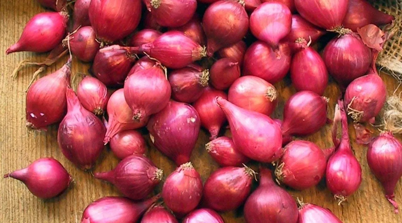 red onion, health, ie malayalam