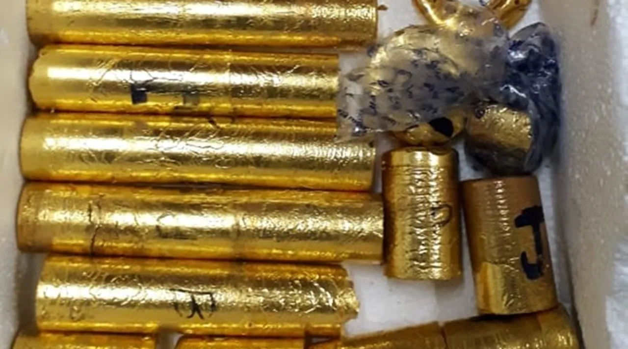 Gold Smuggling Case, Customs