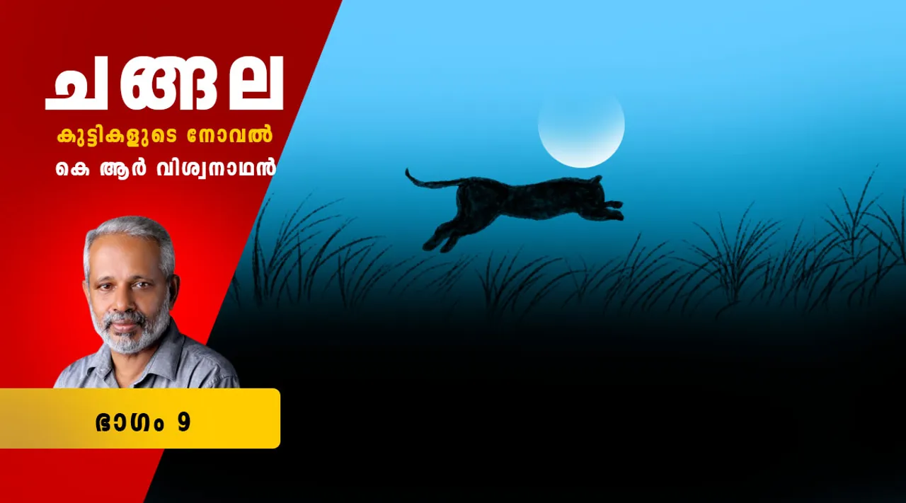 k r viswanathan , childrens novel , iemalayalam