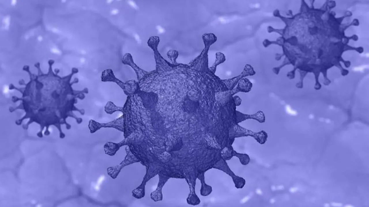 what is kappa variant of covid 19, what is kappa variant, kappa variant, covid kappa variant, kappa variant impact, kappa variant in india, india kappa variant cases, indian express, കാപ്പ വകഭേദം, കപ്പ വകഭേദം, Malayalam News, Latest Malayalam News, ie malayalam