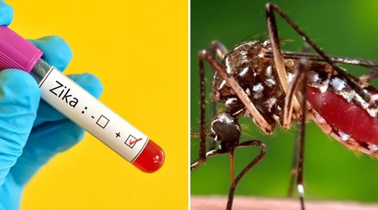 Zika Virus, Zika Virus cases, Zika Virus Symptoms, Zika Virus Treatment, Zika Virus Details, Zika Virus News, Zika Virus Update, IE Malayalam