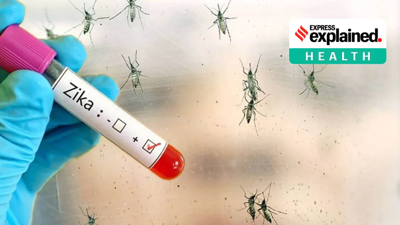 zika virus, zika virus cases, zika virus in kerala, kerala zika virus, kerala zika virus news, zika virus treatment, zika virus prevention, zika virus effects, zika virus cases, zika virus symptoms, zika virus kerala, what is zika virus, സിക്ക വൈറസ്, സിക്ക വൈറസ് ലക്ഷണങ്ങൾ, സിക്ക വൈറസ് മരുന്ന്, സിക്ക, സിക, സിക വൈറസ്, സിക്ക ലക്ഷണം, സിക്ക ലക്ഷണങ്ങൾ, സിക്ക മരുന്ന്, ie malayalam
