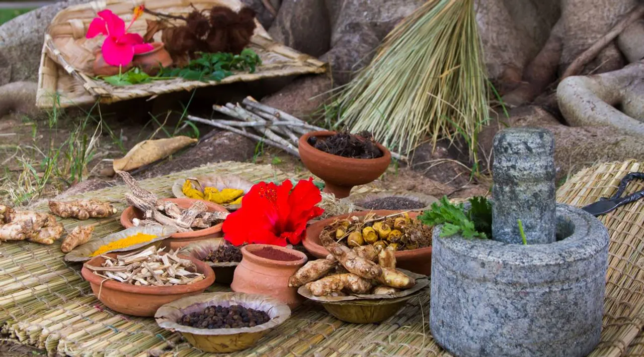 പ്രമേഹം നിയന്ത്രിക്കാൻ സഹായിക്കുന്ന ഔഷധങ്ങൾ