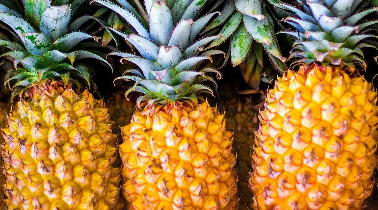 pineapple, health, ie malayalam